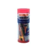 De Oosterhoutse Regenboogstok (12 stuks)