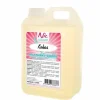 Frusco milkshakesiroop cocos 2 liter