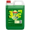 Raak Siroop Reine Claude (5 liter)