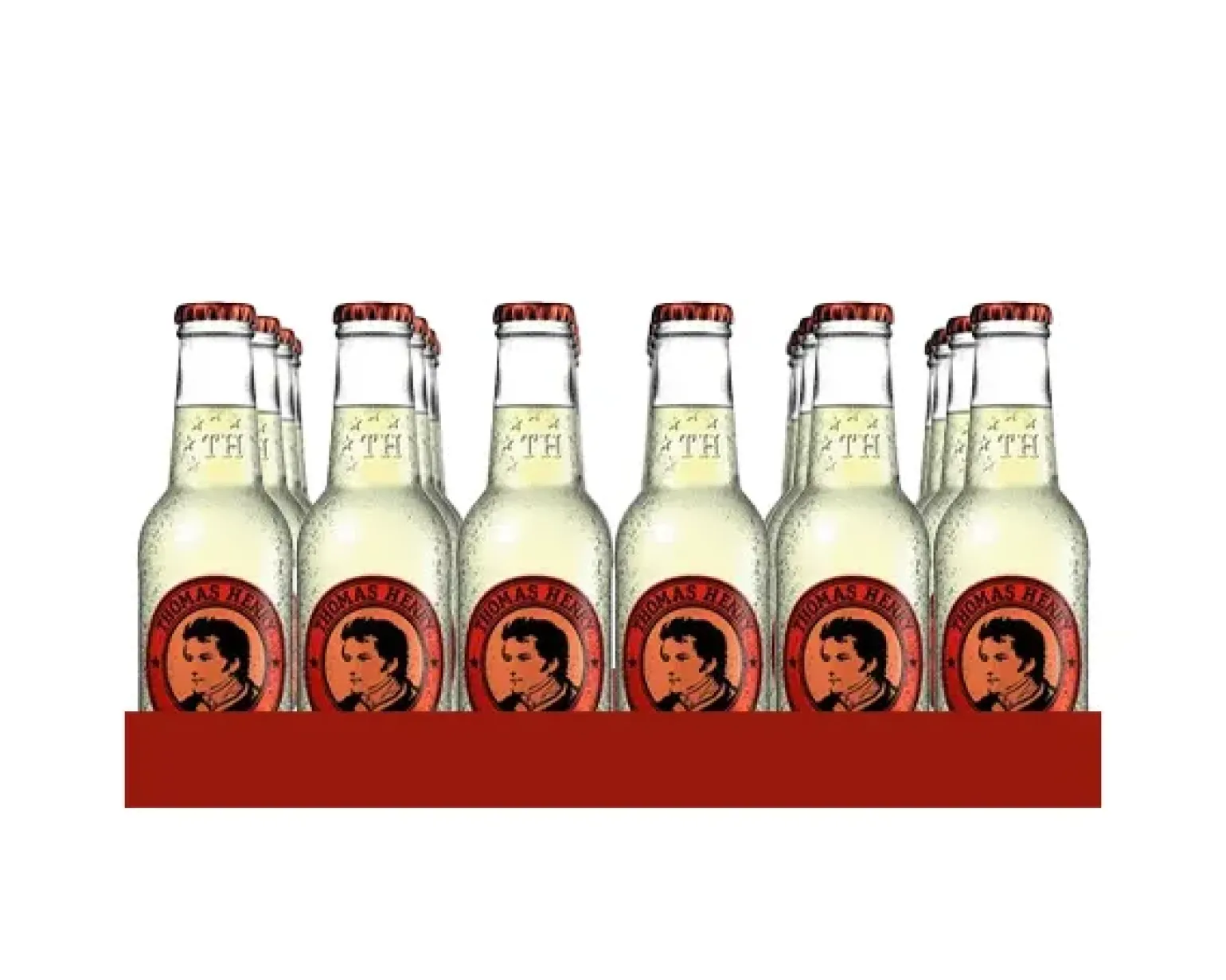 Thomas Henry Ginger Beer flesje (24x 20cl)